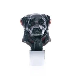 Gaspard Labrador De J.f Leroy Daum