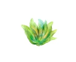 Coupe Borné Daum Par Emilio Robba