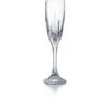 Jupiter Flûte à Champagne Baccarat 2 Jupiter Flûte à Champagne Baccarat -Magasin De Verrerie À Domicile Jupiter flute champagne Baccarat