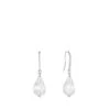 Boucles D’oreilles Flora Bella Lalique -Magasin De Verrerie À Domicile Lalique flora bella earrings