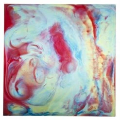 Panneau Decoratif Daum