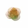Fleur Rose Passion Verte Orange Daum