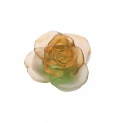 Fleur Rose Passion Verte Orange Daum