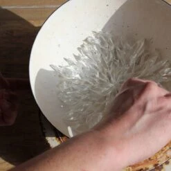 Coupe En Verre Par Aline Thibault (incolore)