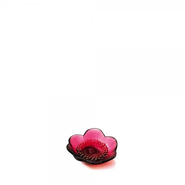 Coupelle Anémone Lalique 3 Coupelle Anémone Lalique