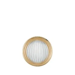 Broche Vibrante Lalique