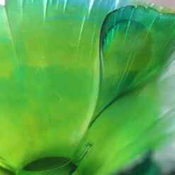 Coupe Vert Ginkgo Daum -Magasin De Verrerie À Domicile daum france coupe ginkgo