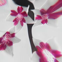 Presse-papier Fleurs De Cerisier Saint-louis