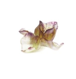 Fleur Violette Iris Daum -Magasin De Verrerie À Domicile iris fleur violette daum