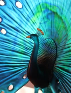 Parade Du Paon Daum Par Madeleine Van Der Knoop -Magasin De Verrerie À Domicile paon cristal daum 1
