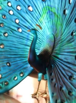 Parade Du Paon Daum Par Madeleine Van Der Knoop -Magasin De Verrerie À Domicile paon cristal daum francer 2