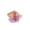 Poisson Ambre Violet § Anemone Pm Daum