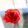 Fleur Rouge Rose Passion Daum