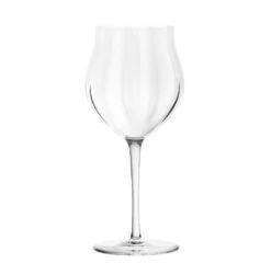 Verre à Vin De Fruit Twist 1586 Saint-louis