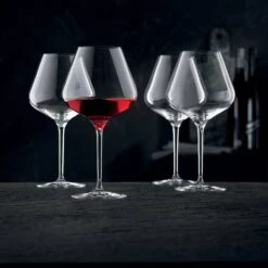 Set 4 Verres Vin Bourgogne Vinova Nachtmann